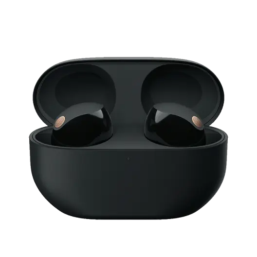 Premium Wireless Headphones